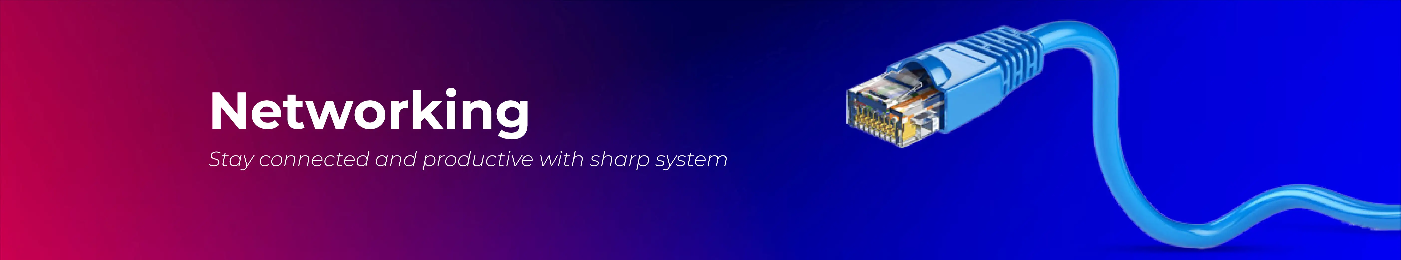 Banner Background